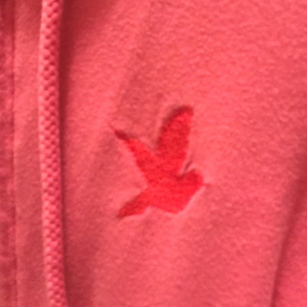 Pink Aerie hoodie jacket - Picture 2 of 4